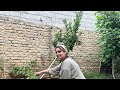 Rural Cooking With Fresh Apples Traditional Village Life In The Countryside