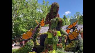 Dollywood on Memorial Day 2021 - Come with us!   Beauty, Thrills & Fun!  #not crowded #pigeon forge