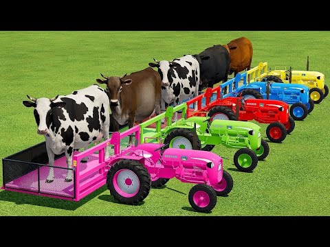 TRANSPORTING COW WITH COLORED TRACTOR & TRUCKS | Farming Simulator 22