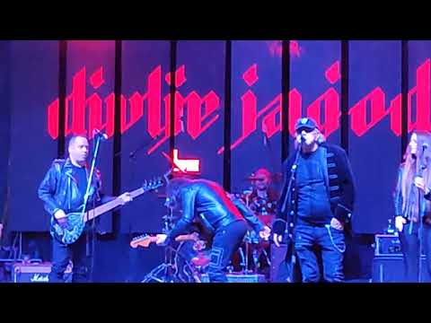 Divlje jagode ft. Toni Janković - Kako si topla i mila