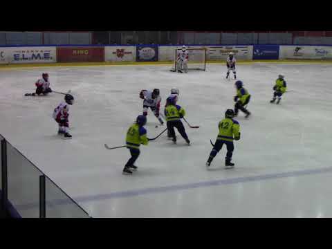 Narva PSK F09 – HC Vipers F WHITE  7 -1