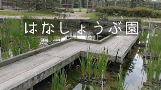 20230628·京都府立植物園