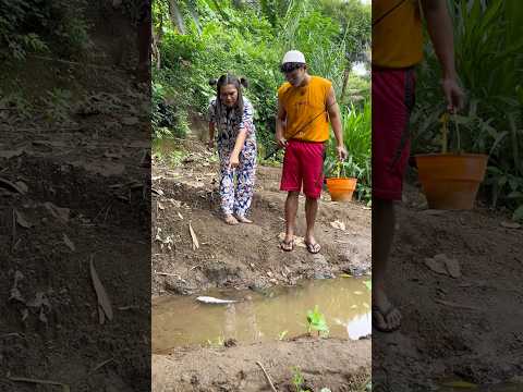 Ada ikan meninggal #gandol