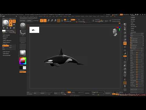 Sculpting an Orca in Zbrush 2021.6.6