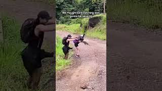 Bird Doesn't Like Hiking Guide 😂