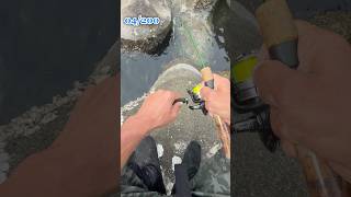 【穴釣り】釣り初心者でも簡単、海好きな人、海鮮に興味ある人、釣った魚をその場で食べたい方、是非穴釣りやってみてください