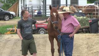 YouTube video thumbnail