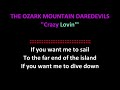 Ozark Mountain Daredevils - Crazy Lovin'