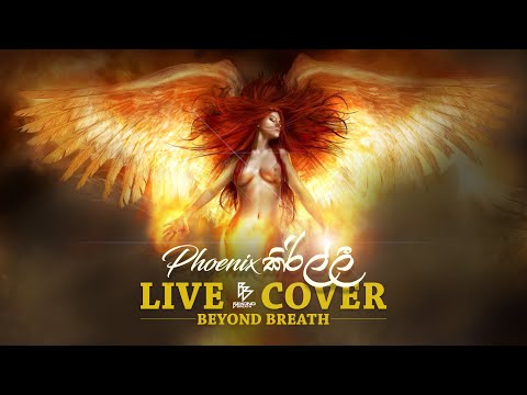 Phoenix Kirilli | Sachith Ekanayake | Live Cover by Beyond Breath