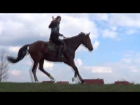 2 lata z Jasnowidzem