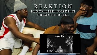 Luciano - Block Life, Shake It &amp; Dreamer Drill | ALBUM REAKTION | UNERWARTET 😨🔥 | Tommy B.