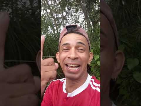 el paseo de (olla )2