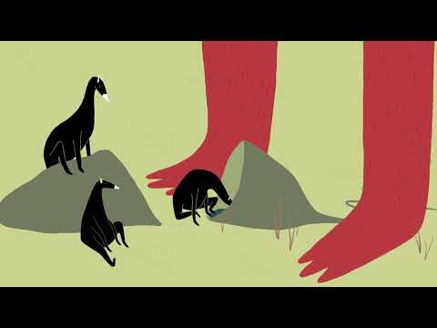 DEERDOGS