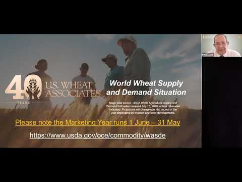 Alapala Webinars #3 Fundamentals of Pasta Processing - Short Edit