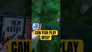 Teaching Fish About MTG #mtg #edh #commander #mtgcommander #magicthegathering