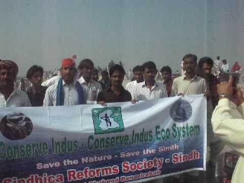 Sindhu Day 24 January 2010