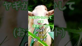 ぷぷってなったダジャレ #一発撮り #ダジャレ