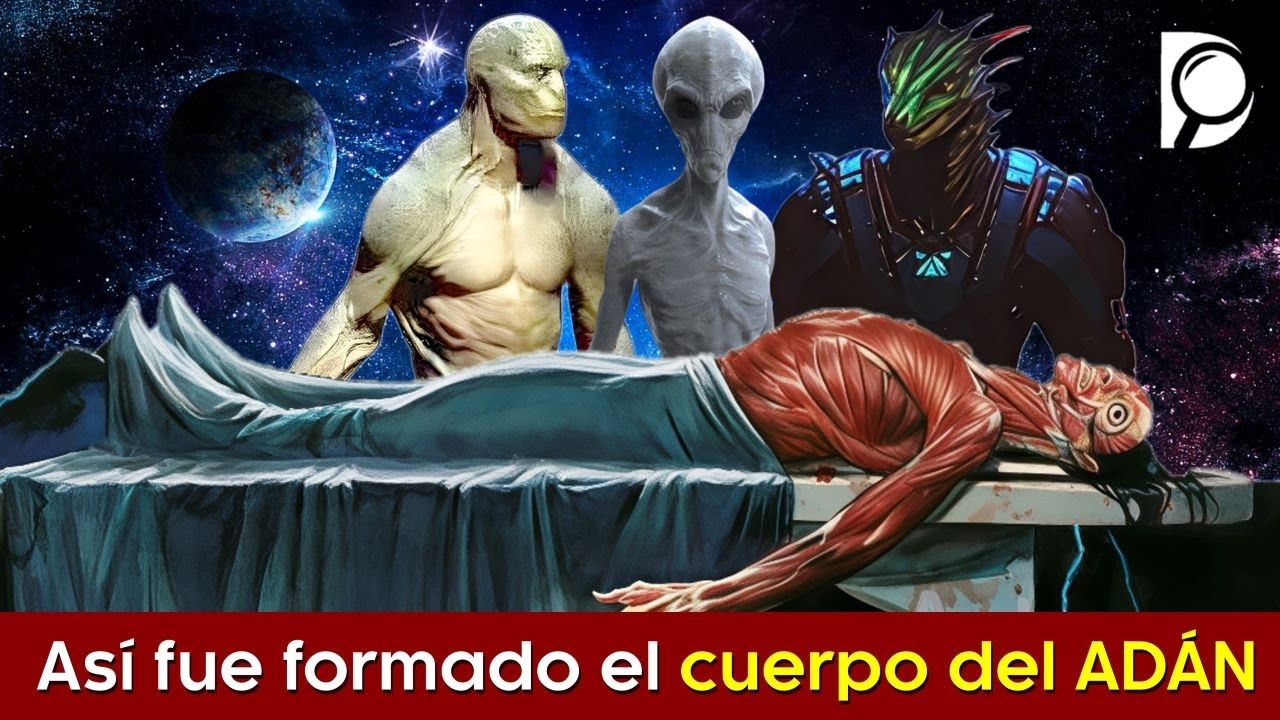 Así fue FORMADO el cuerpo del ADÁN