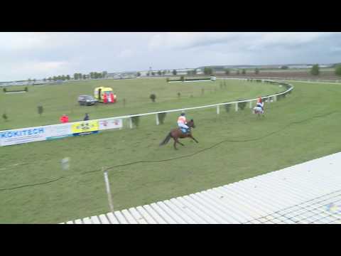 BR, 5. 10. 2019, Závody poníků 1