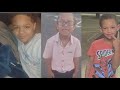 3 Brothers Die After Falling Through Ice Into Freezing Pond Officials Say