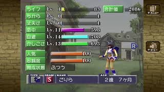 モンスターファーム　switch版