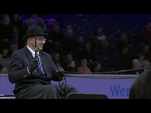 HK 2024   Horses2Fly KFPS sportcompetition showdriving part 2    Spanish