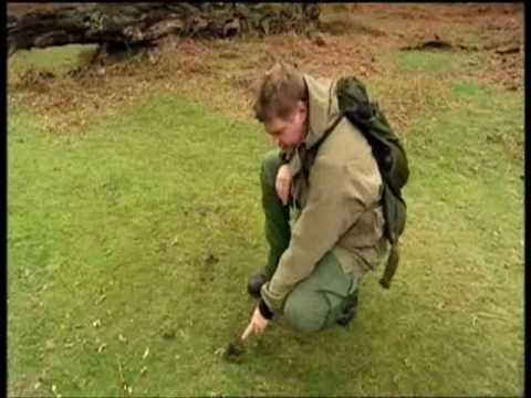 Four Seasons Ray Mears Bushcraft S2E5 Part 3