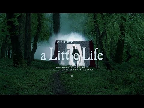 Seed To Tree - A Little Life (Official Music Video)