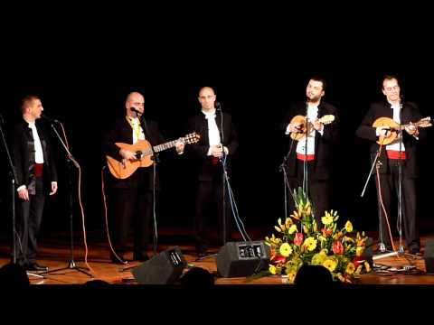 Klapa volosko Ruža crvena HD