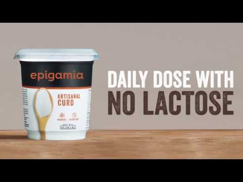 download lagu mp3 mp4 Epigamia Lactose Free Curd, download lagu Epigamia Lactose Free Curd gratis, unduh video klip Epigamia Lactose Free Curd