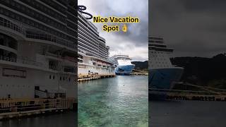 👆🚢Cruise Ship Docked Shorts Video | Wait For End...You Will like this shorts #cruise #shorts