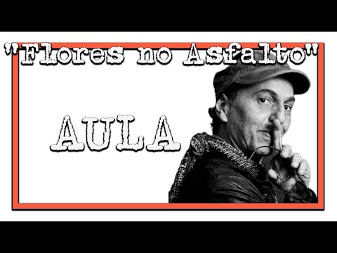 Flores no asfalto - Zeca Baleiro