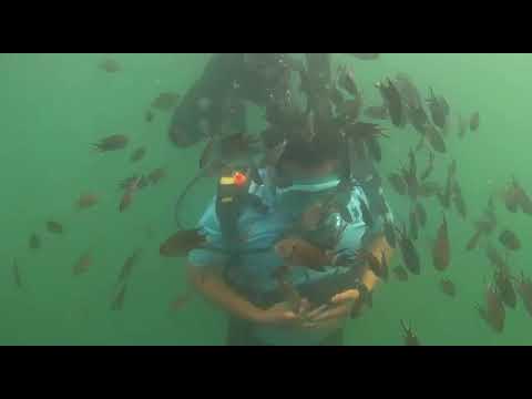 Scuba Diving at Malvan Beach (from Goa)