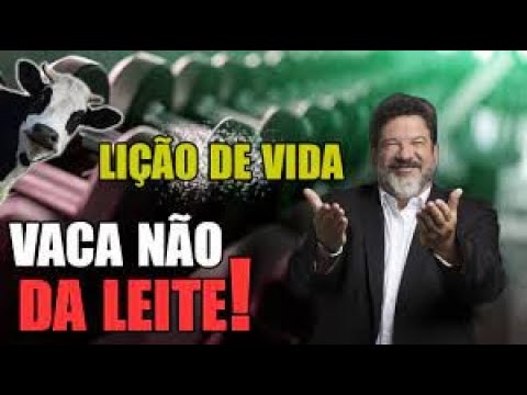 vaca não dá LEITE 🐮🐄Por Mario Sérgio Cortella