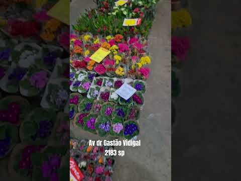 pra acabar o estoque
