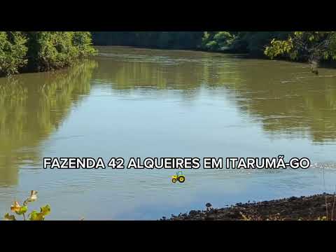 FAZENDA 42 ALQUEIRES À VENDA EM ITARUMÃ-GO | BEIRA RIO, TERRA PLANA E DUPLA APTIDÃO