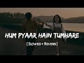 Hum Pyaar Hain Tumhare Slowed Reverb Alka Yagnik Kumar Sanu Sameer SSR Lofi