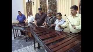 preview picture of video 'Marimba USULA Municipal de San Pedro Sula  Flor sin retoño'
