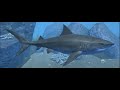 Great White Shark From Ultimate Shark Simulator