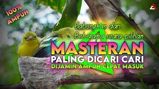 Download lagu Masteran Sirtu / Cipoh Paling Dicari Dijamin Cepat Masuk mp3