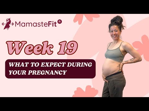 Week 19: What to Expect During Your Pregnancy + Gina's Pregnancy Journey!