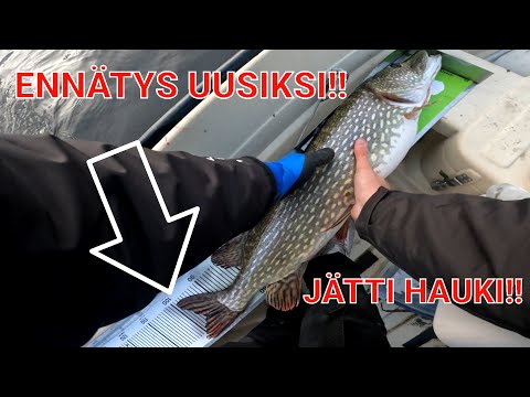 HK OPEN syksy 2023 Treeni - ENNÄTYKSET UUSIKSI!