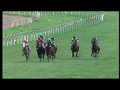 Napoli Galoppo 09/02/2021 - 4ª corsa