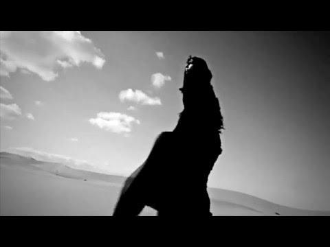 Dj Clive$ter - I Follow Silence [Delerium / Lyyke Li / Peter, Bjorn & John]