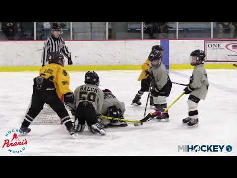 2020 MAHA 8U Cross-Ice White Division State Championship - HB Hockey (Black) vs. OJG Kodiaks