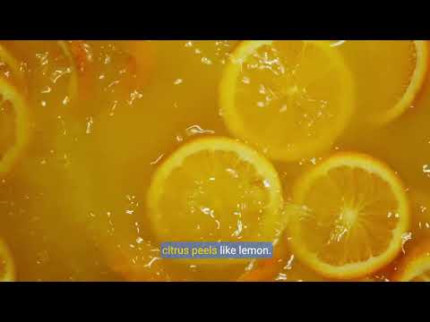 How to Clean a Stinky Garbage Disposal