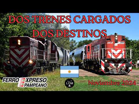 Dos trenes cargados, dos destinos: una calurosa tarde con FEPSA en La Pampa - Noviembre 2024