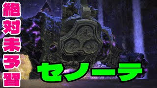 【FF14】天深きセノーテ 攻略【実況】