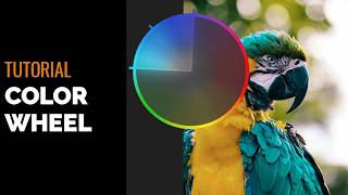 The Color Wheel in ACDSee