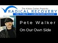 Pete Walker Healing Complex PTSD